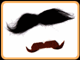 INV-moustaches